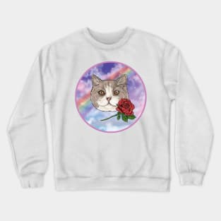 Zippy Stardust Kitty Cat Crewneck Sweatshirt